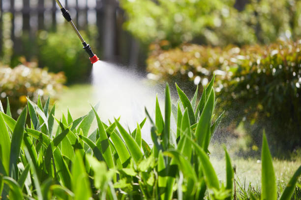 24/7 Emergency Mosquito Control experts in Lanark, IL