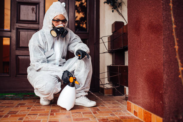 Reliable Mosquito Control contractor in Lanark, IL by Nex Pest Control